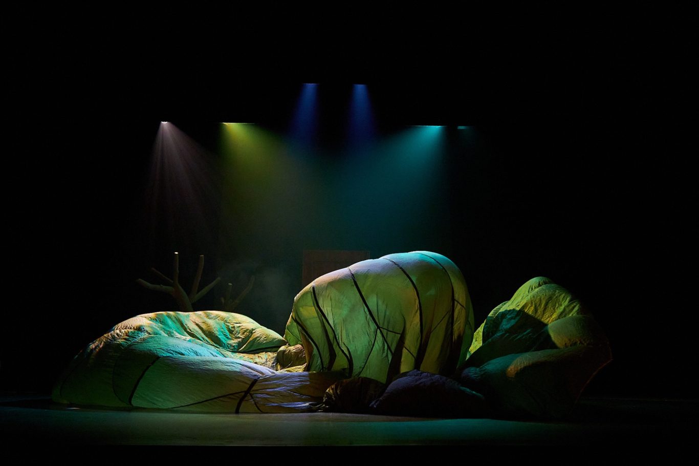 EL LAZARILLO @DaniloMoroni